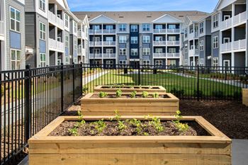 Wooden planters with plants